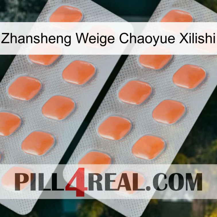 Zhansheng Weige Chaoyue Xilishi 27